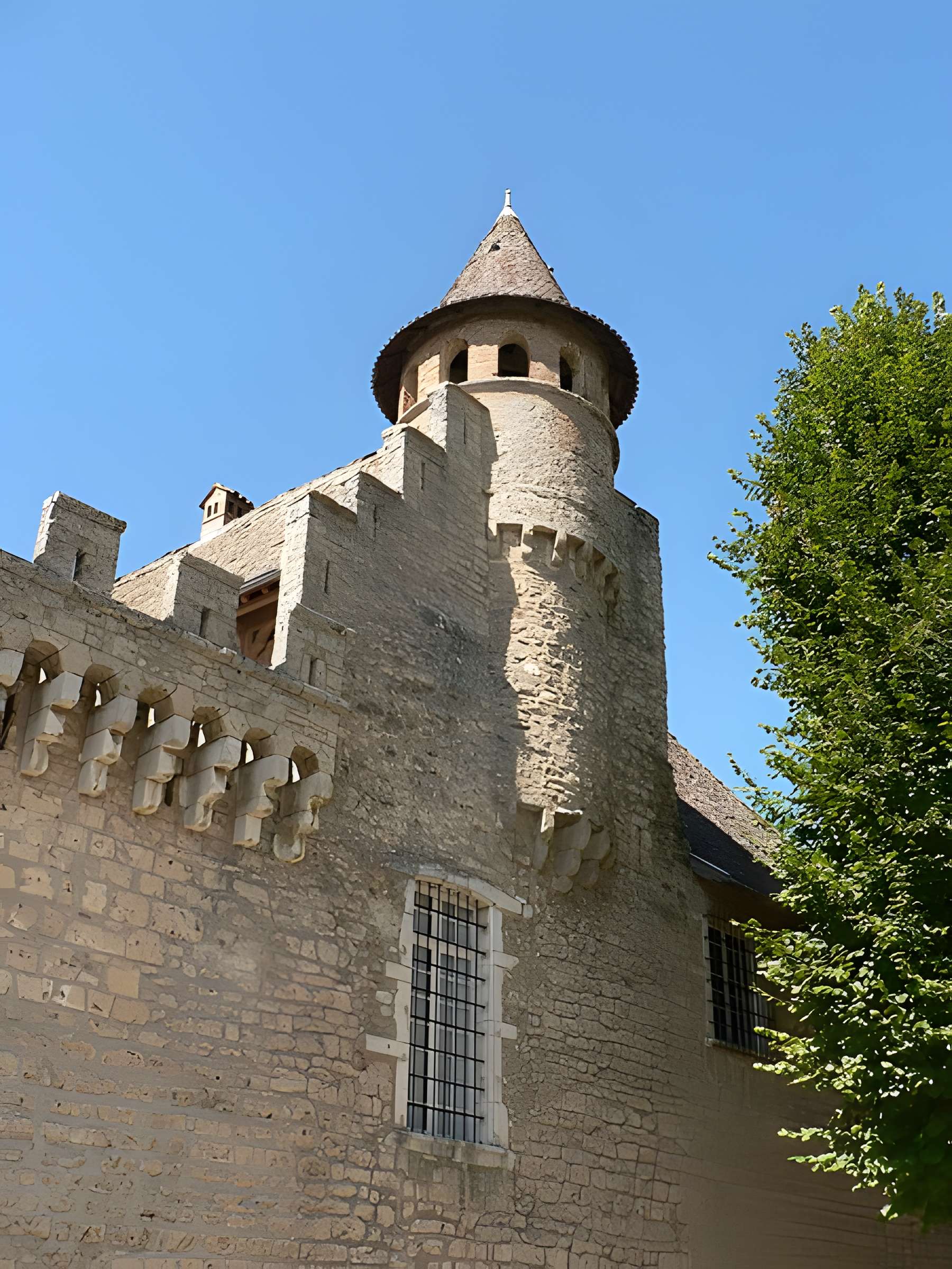 Château de Virieu