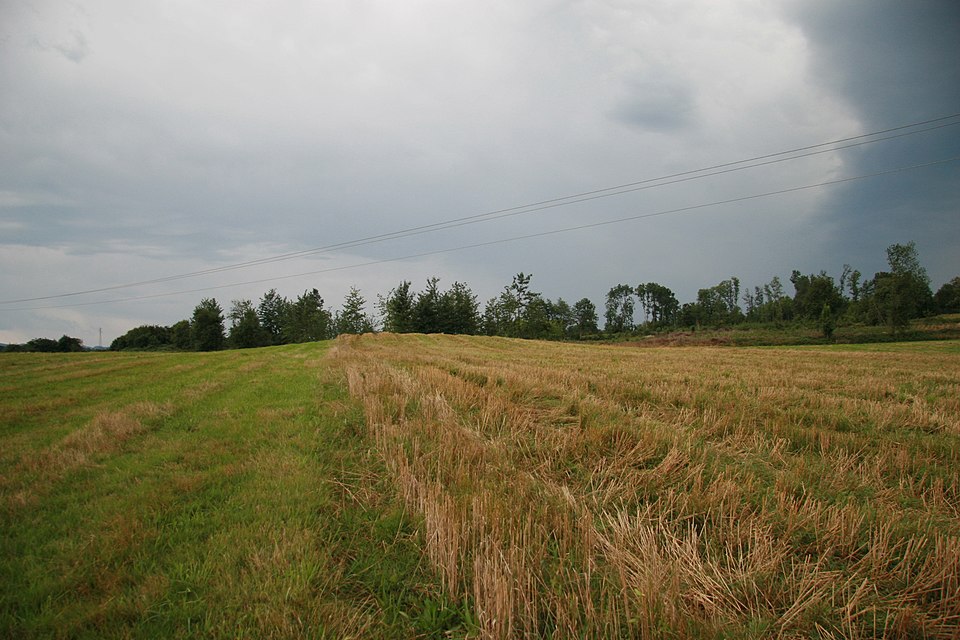 Photo de Nécropole tumulaire