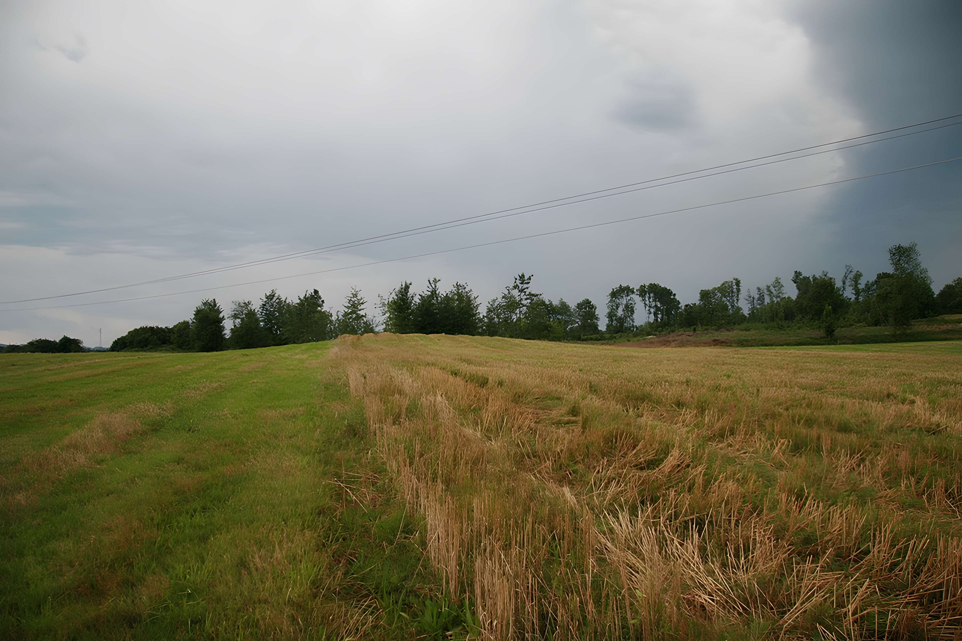 Nécropole tumulaire