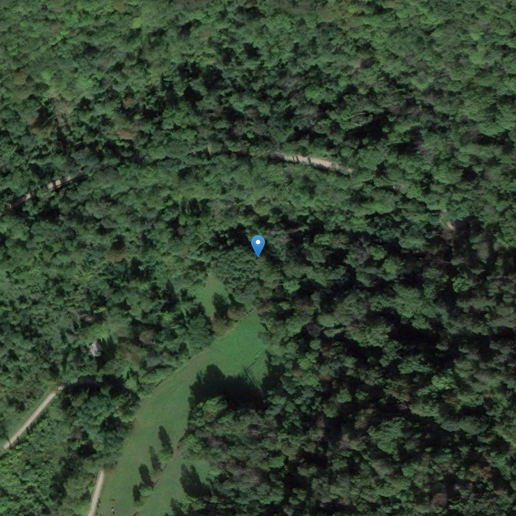 Photo de Oratorio Saint-Roch e antico cimitero