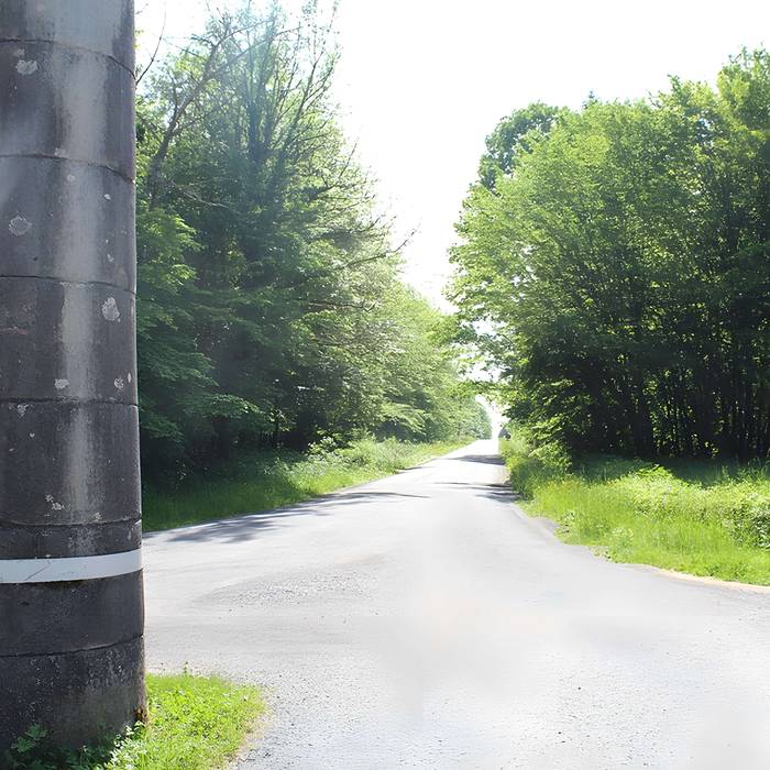 Photo de Bornes-colonnes de la forêt de Chaux