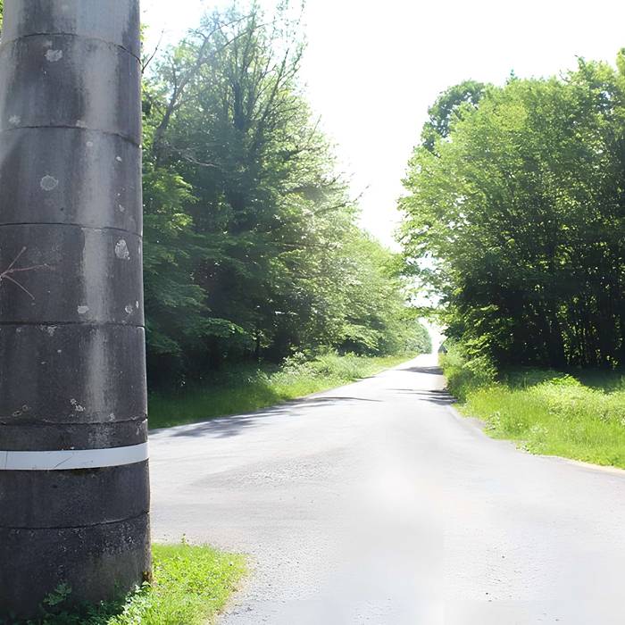 Photo de Bornes-colonnes de la forêt de Chaux