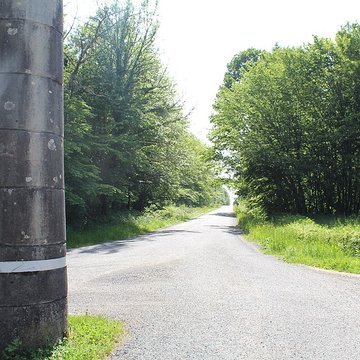 Bornes-colonnes de la forêt de Chaux
