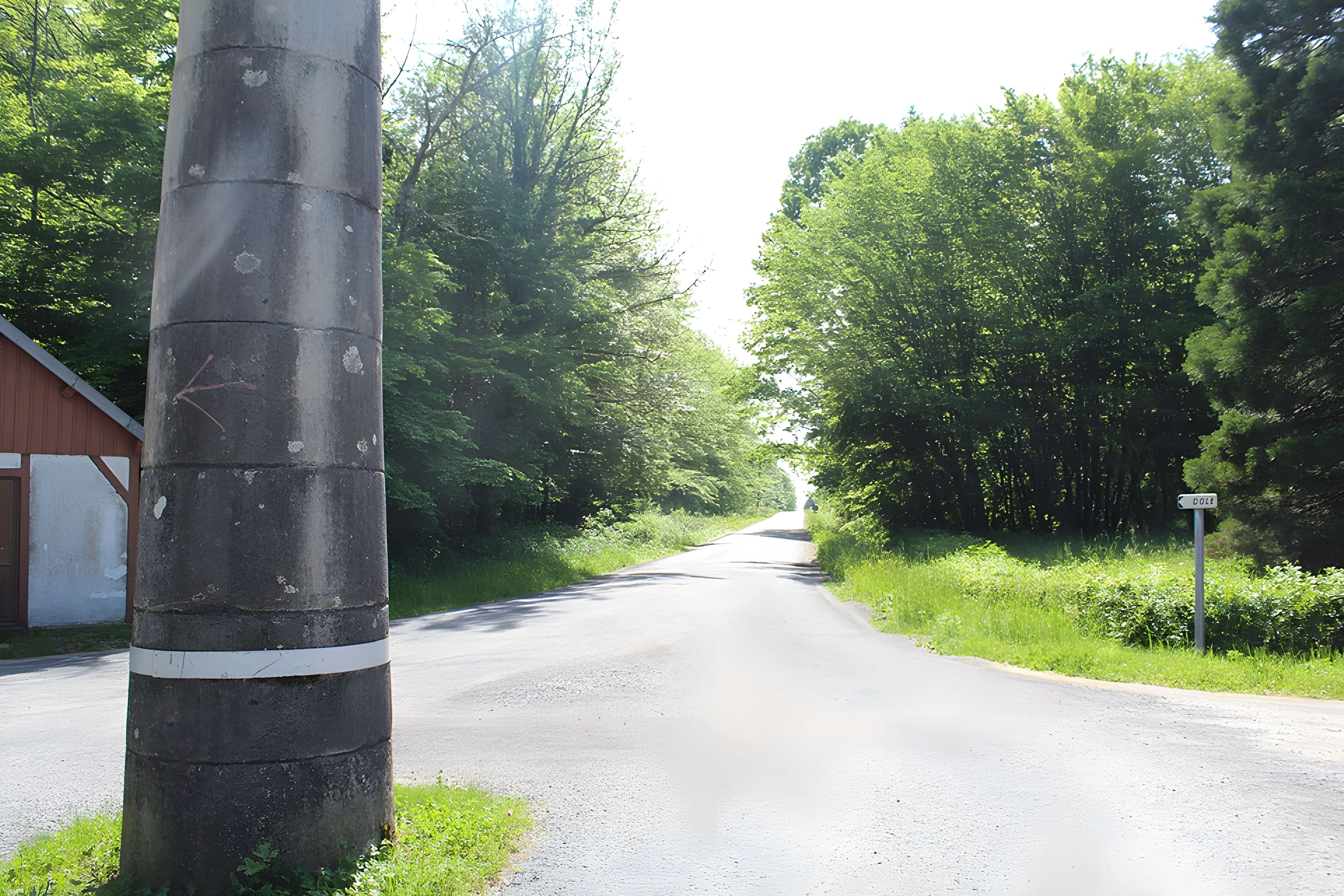 Bornes-colonnes de la forêt de Chaux