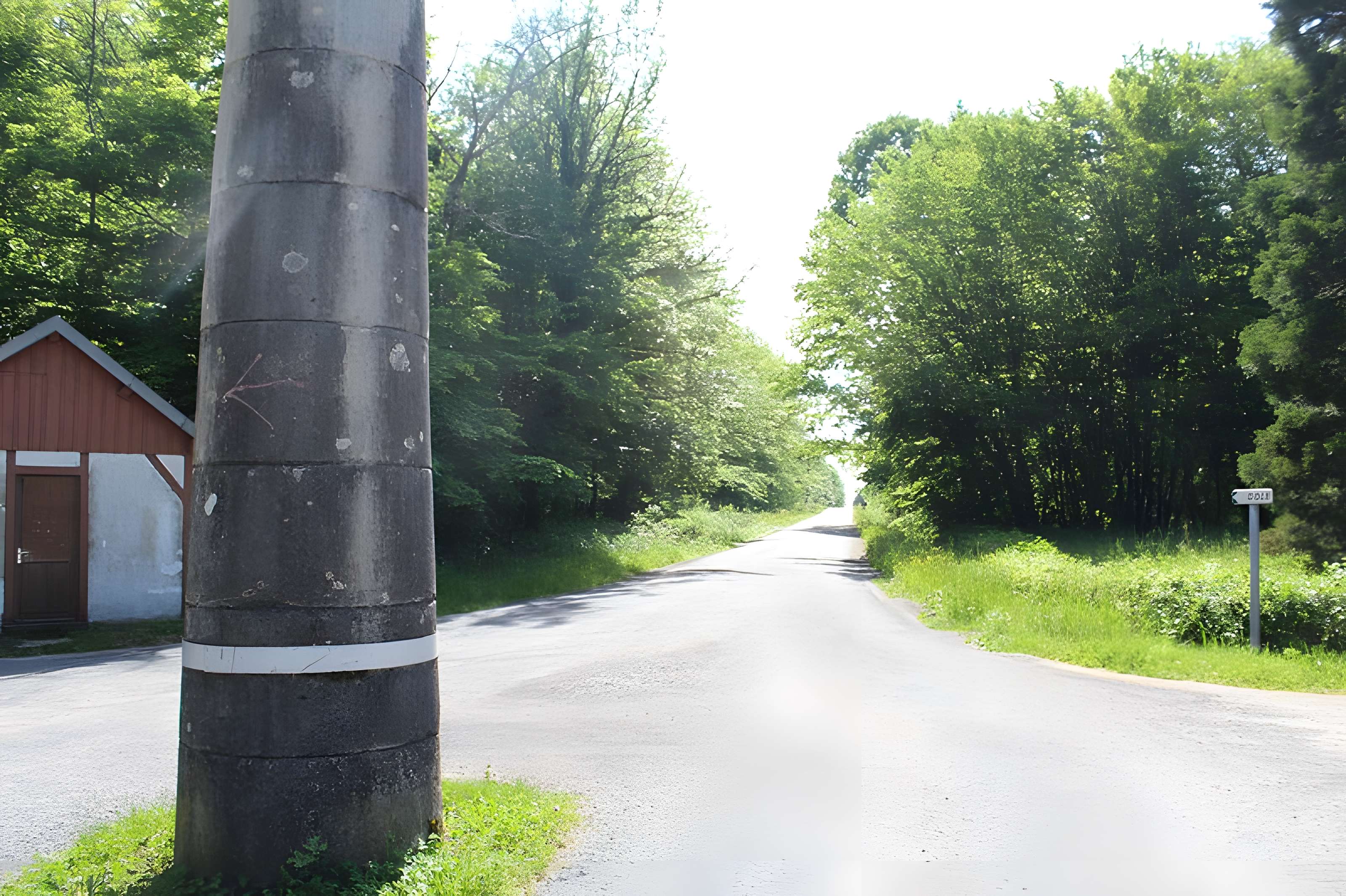 Bornes-colonnes de la forêt de Chaux