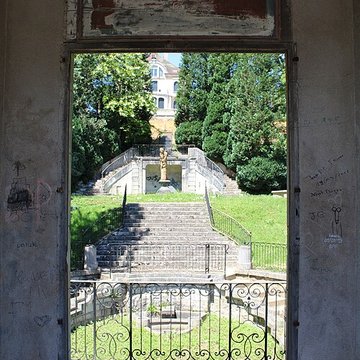 Nymphée du parc de Scey