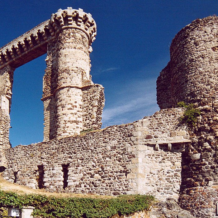Photo de Ruines du château et terrain qui entoure ces ruines