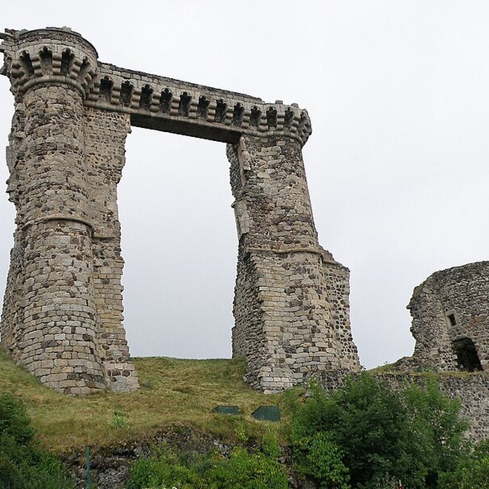 Photo de Ruines du château et terrain qui entoure ces ruines