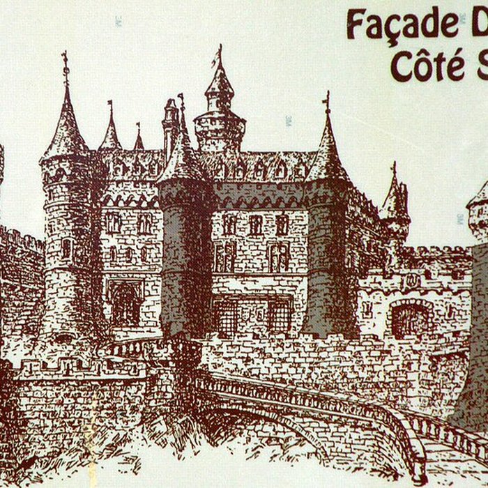 Photo de Ruines du château et terrain qui entoure ces ruines