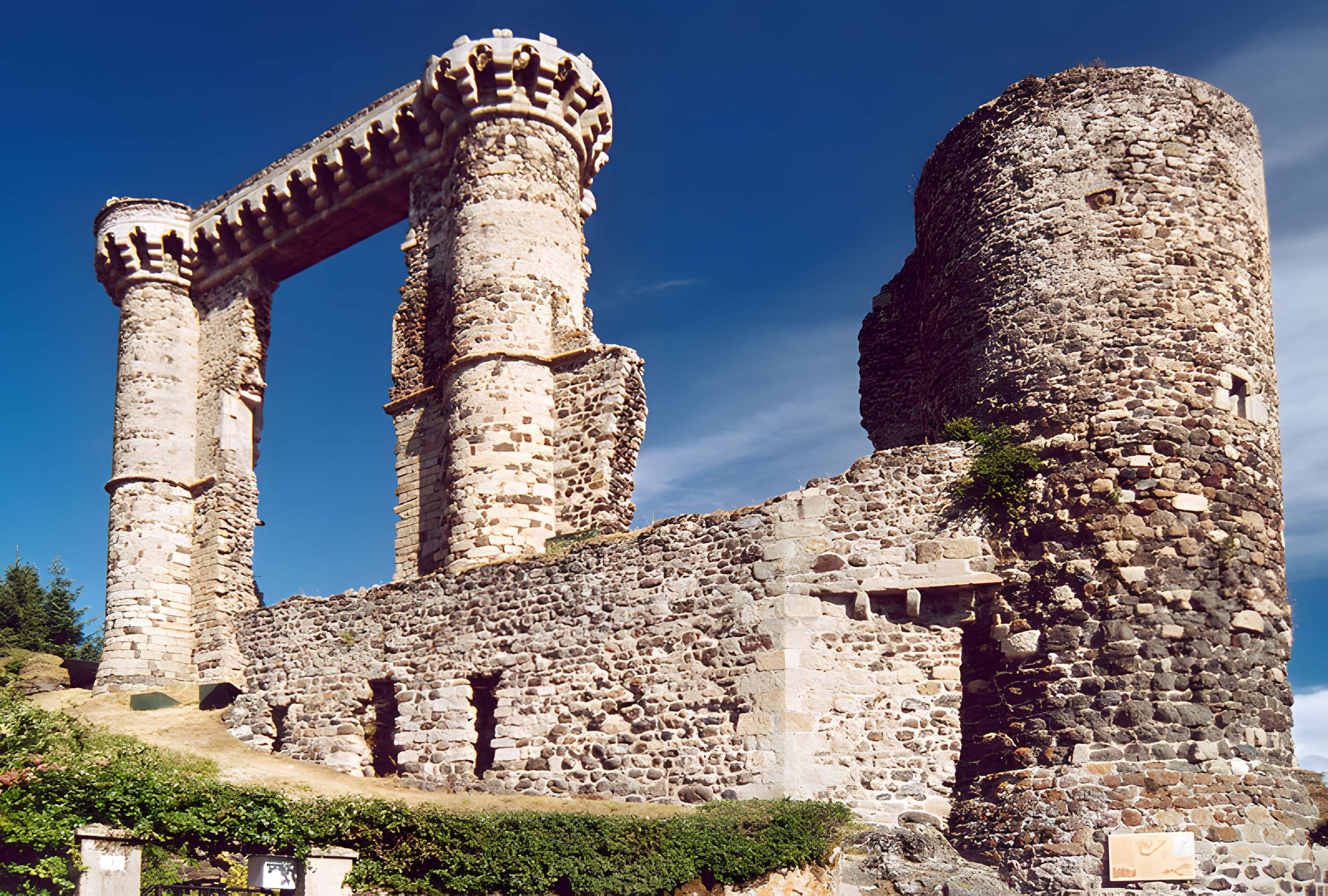 Ruines du château et terrain qui entoure ces ruines
