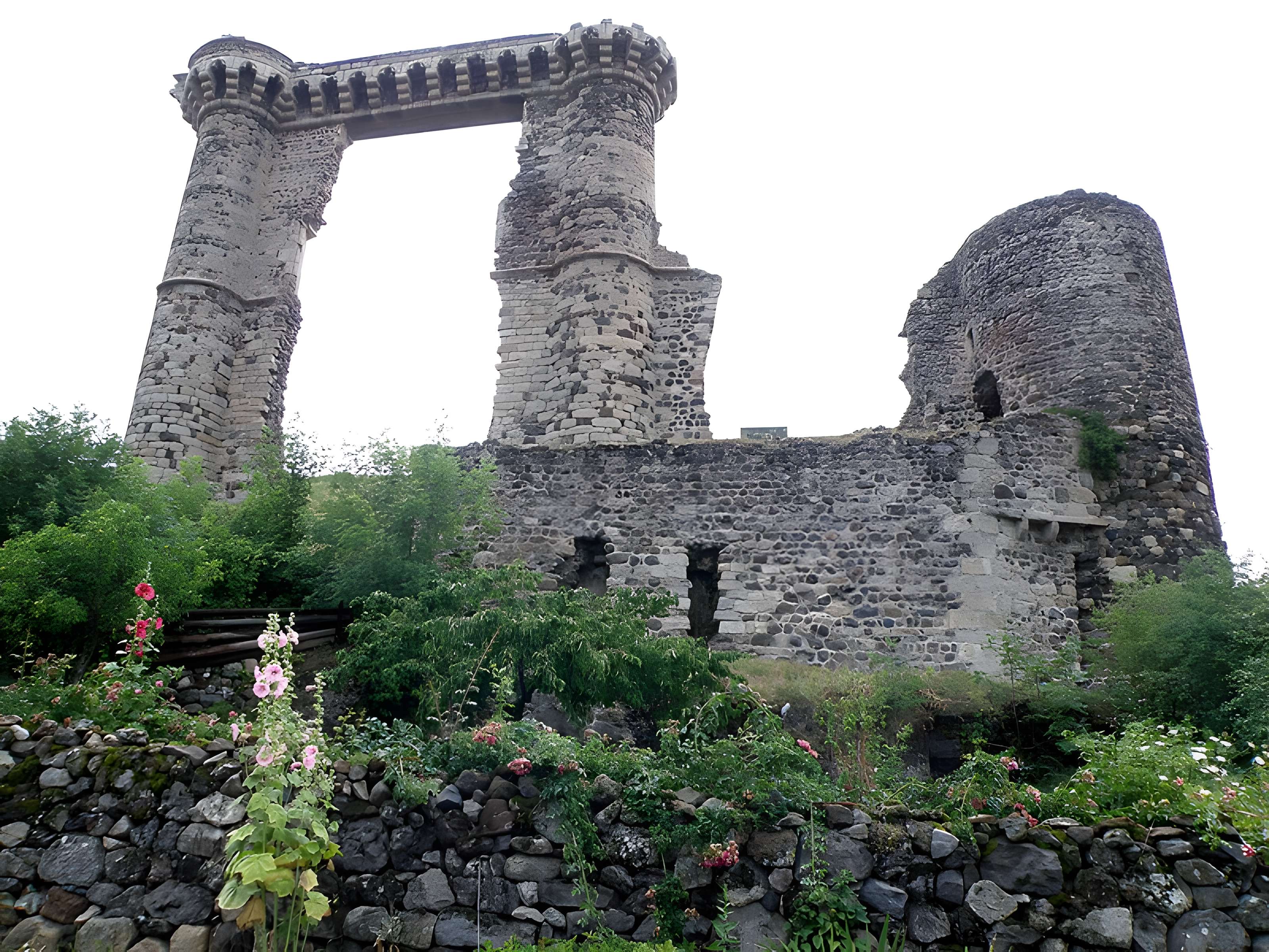 Ruines du château et terrain qui entoure ces ruines