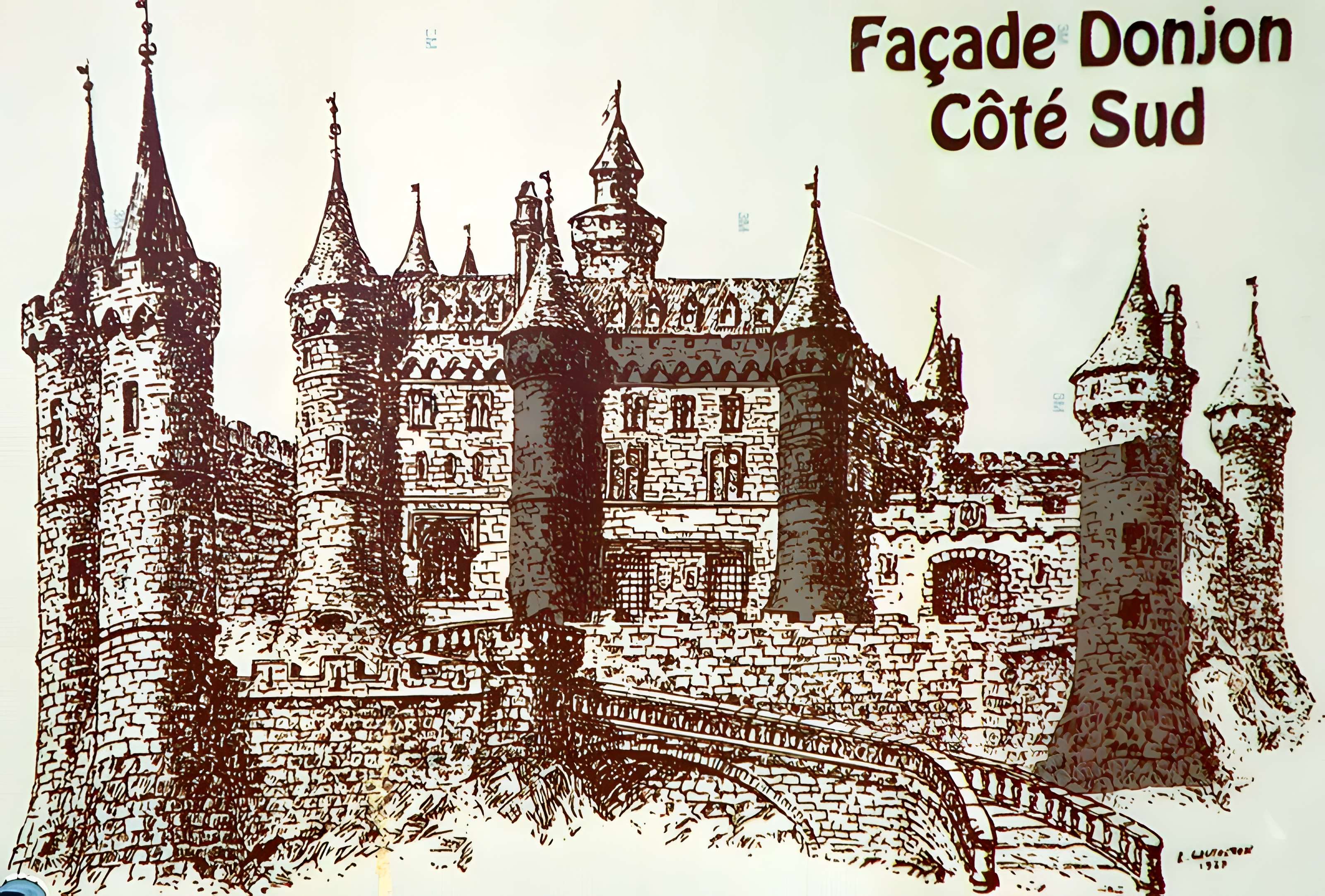 Ruines du château et terrain qui entoure ces ruines