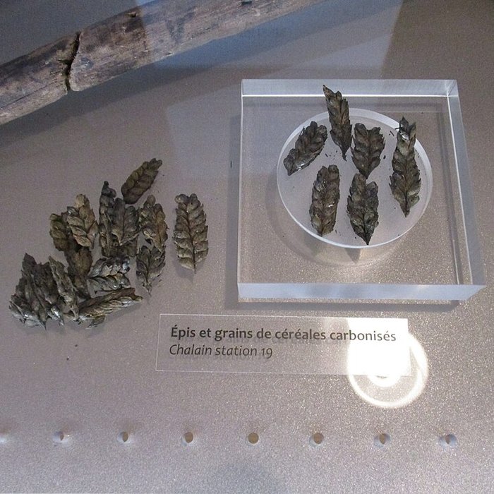 Photo de Villages palafittes du lac de Chalain