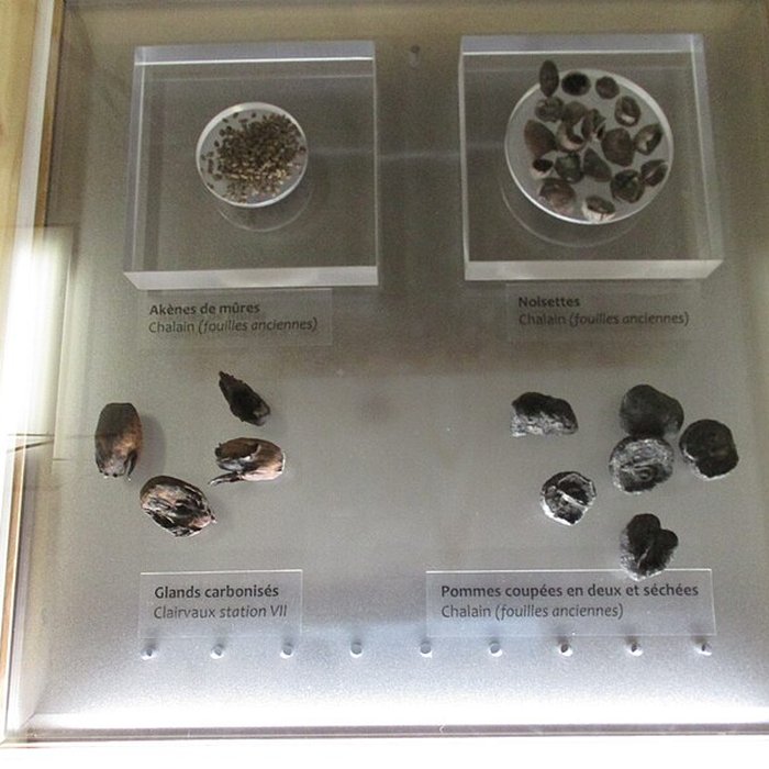 Photo de Villages palafittes du lac de Chalain