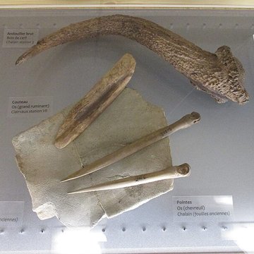 Villages palafittes du lac de Chalain