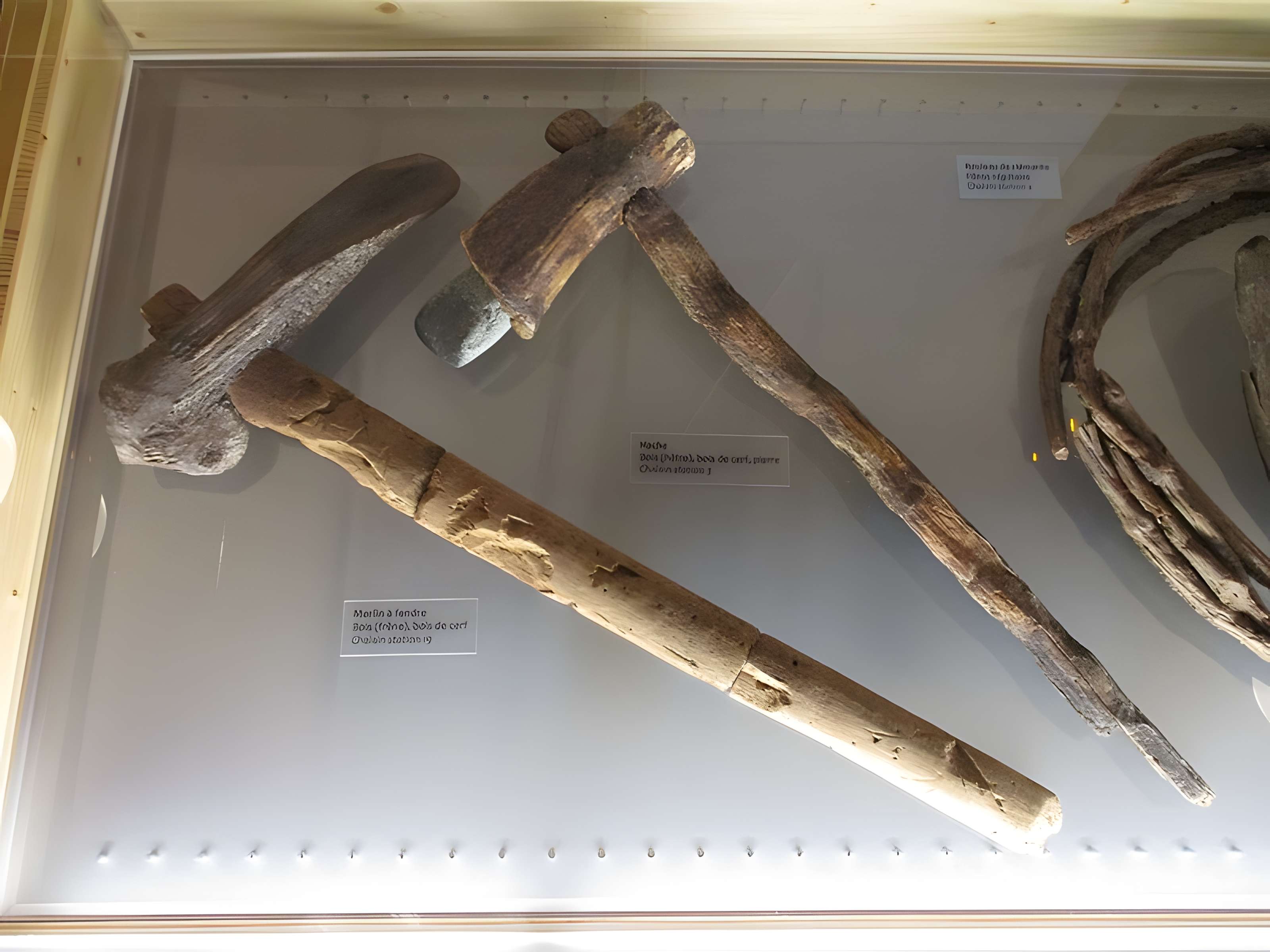 Villages palafittes du lac de Chalain