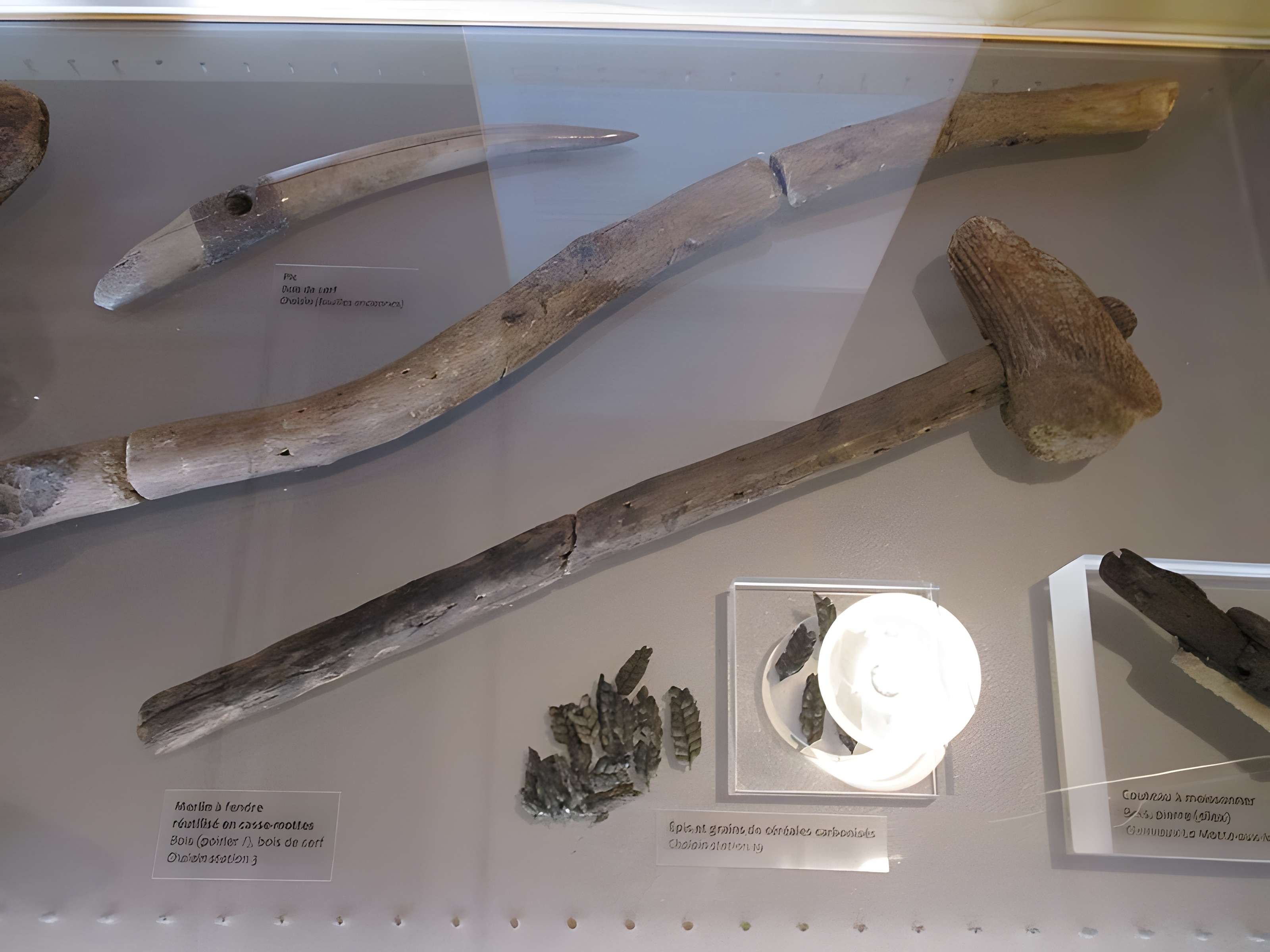 Villages palafittes du lac de Chalain