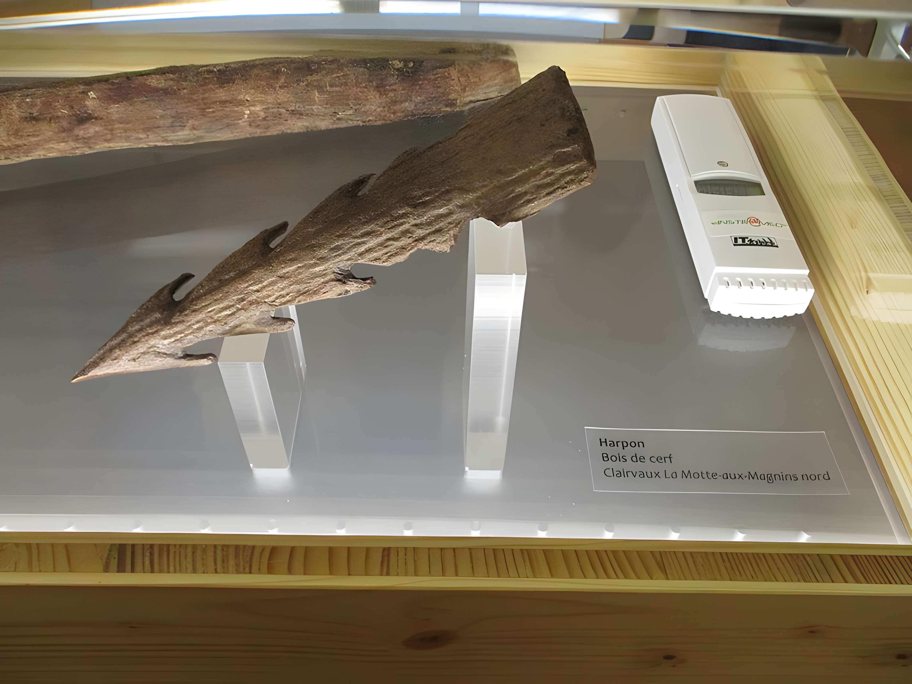 Villages palafittes du lac de Chalain