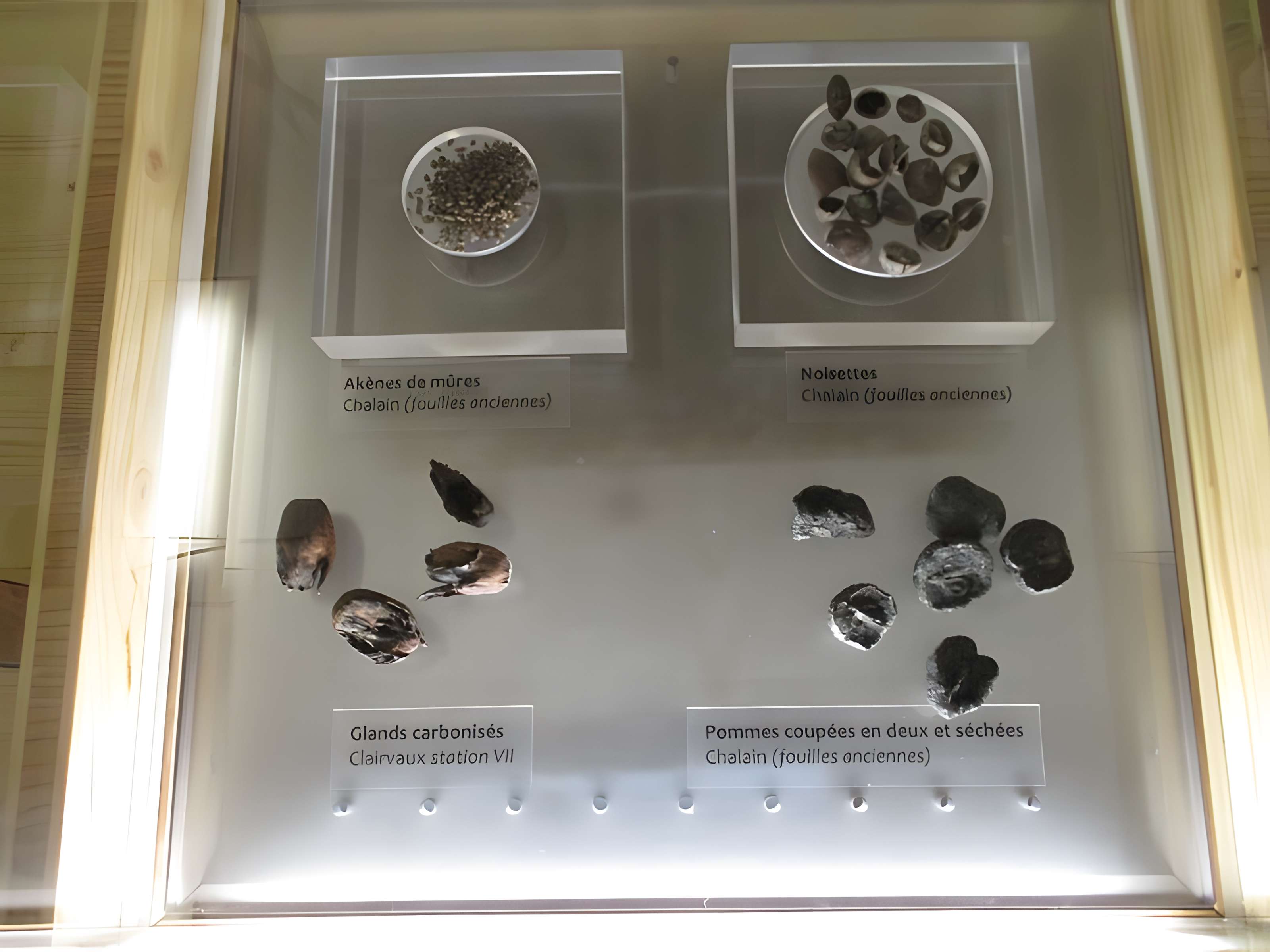 Villages palafittes du lac de Chalain