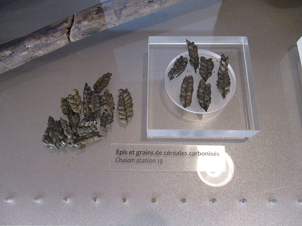 Villages palafittes du lac de Chalain