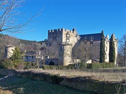 Photo de Château d'Allemagne-en-Provence