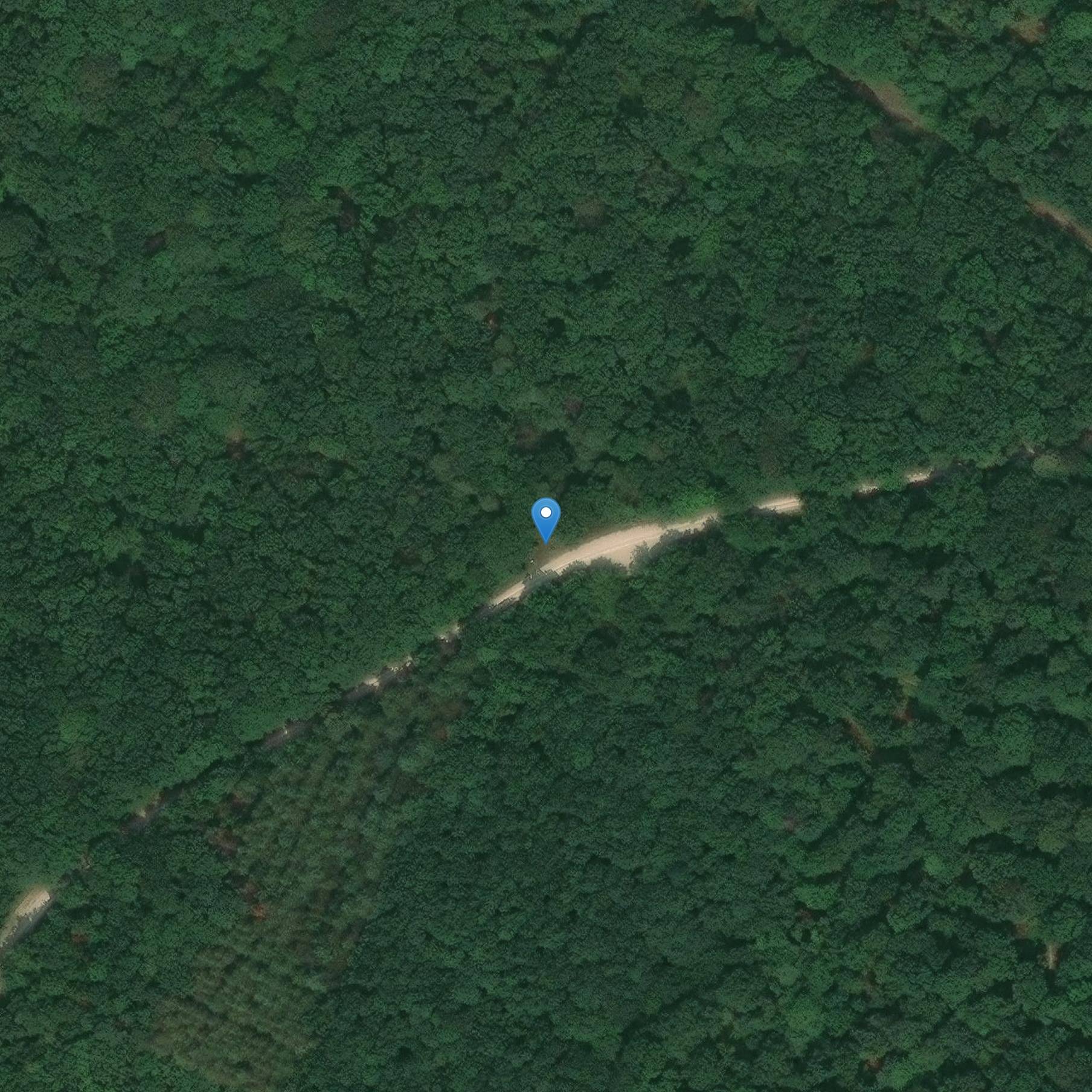 Photo de Boyon Cross