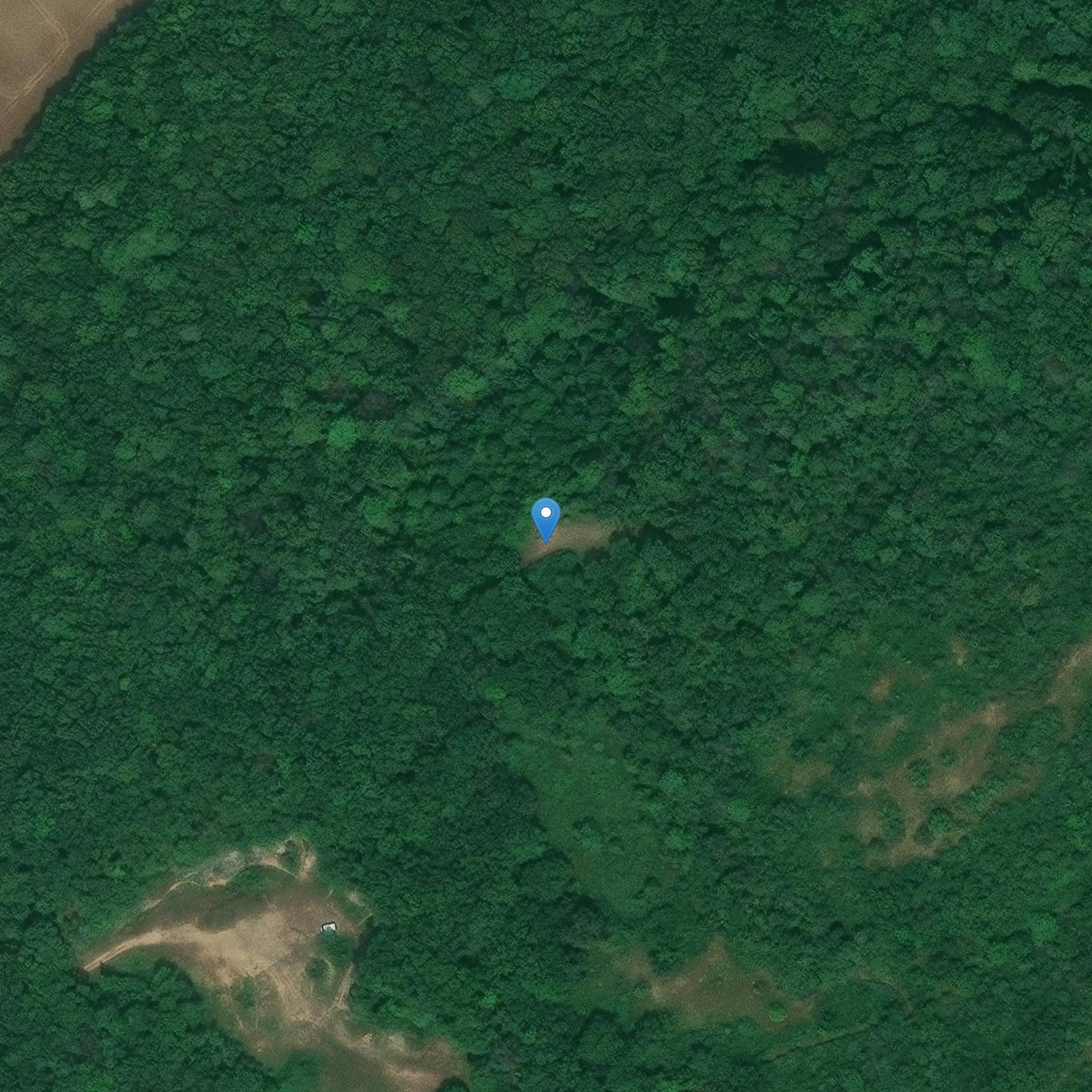 Photo de Campo prehistórico de Mont-Guérin