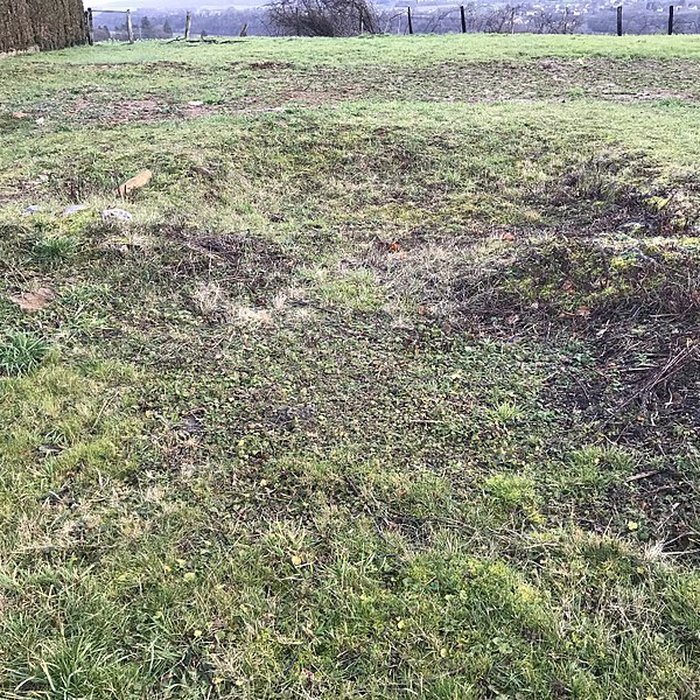 Photo de Eglise funéraire