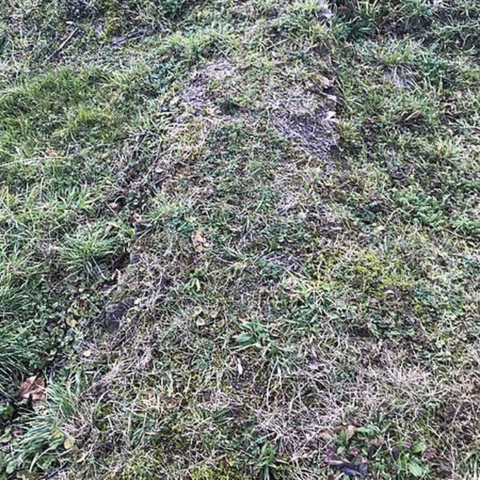 Photo de Eglise funéraire