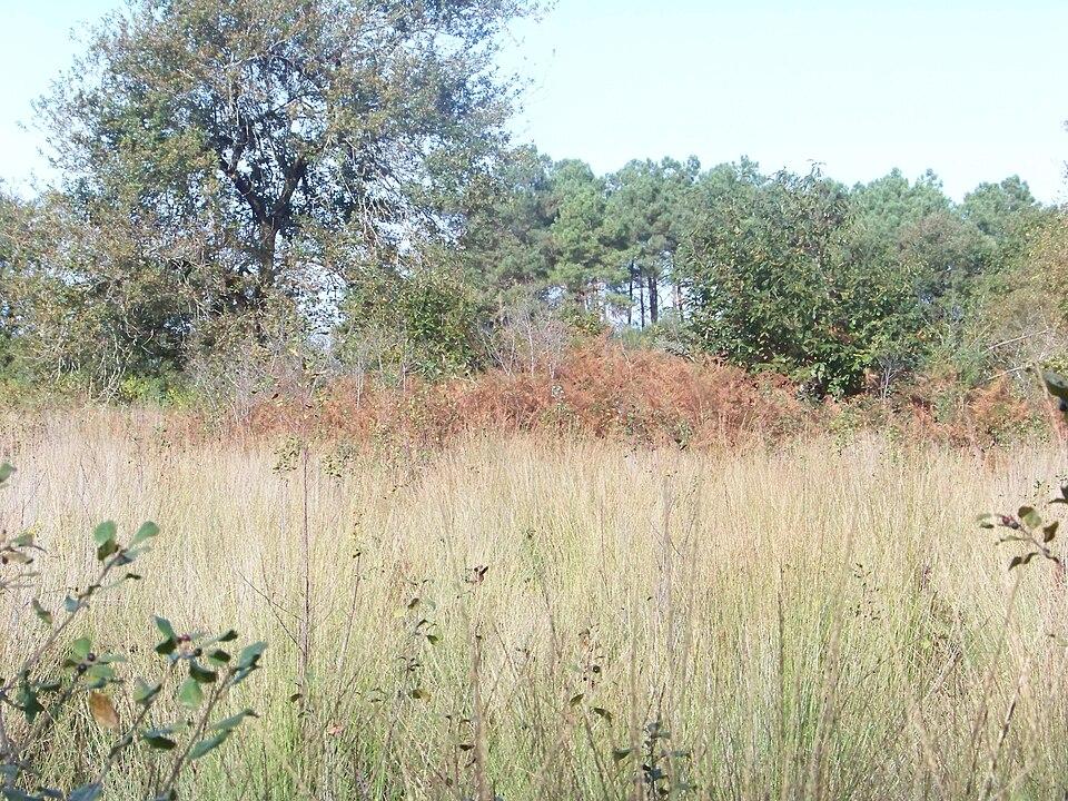 Parcelles contenant dix-sept tertres funéraires