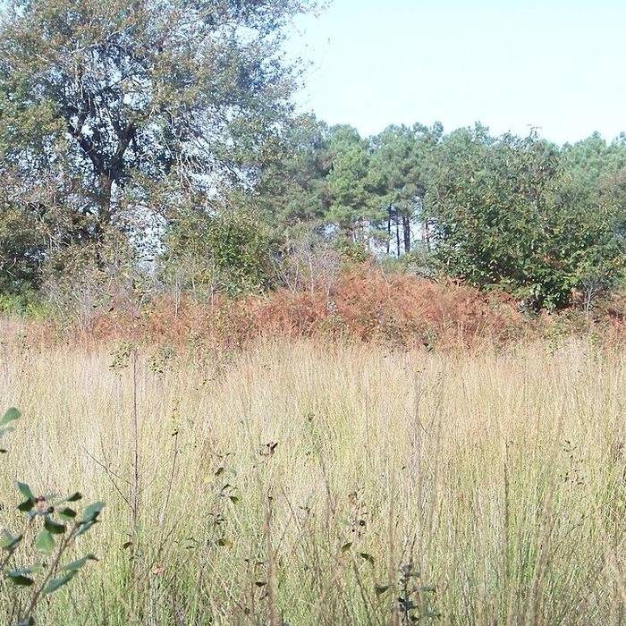 Photo de 17の埋葬地を含む小包