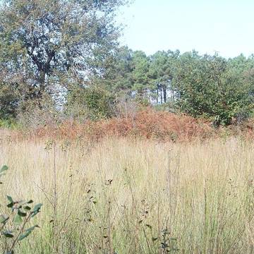 Parcelles contenant dix-sept tertres funéraires