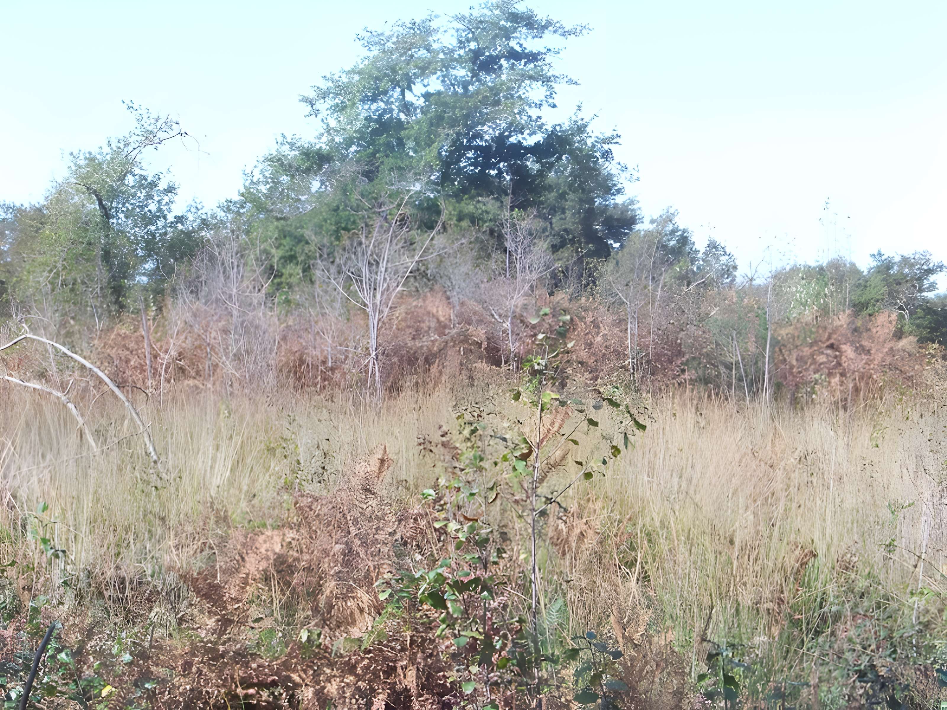 Parcelles contenant dix-sept tertres funéraires