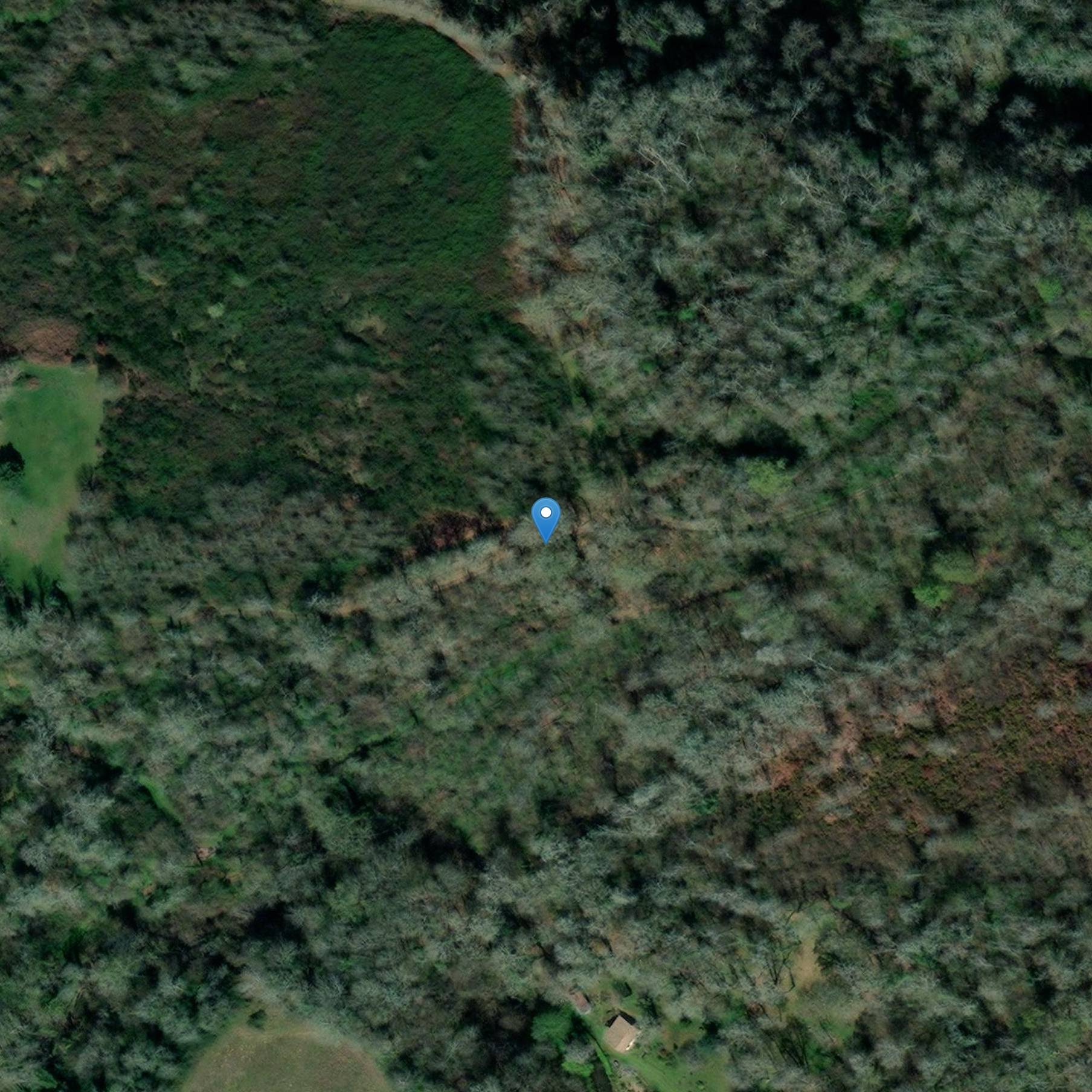 Photo de Middeleeuwse spreker van Castets