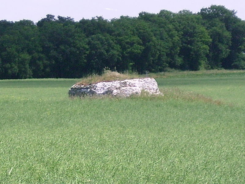 Photo de Dolmen de la Mouïse-Martin