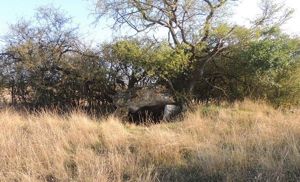 Photo de Dolmen de la Rousselière