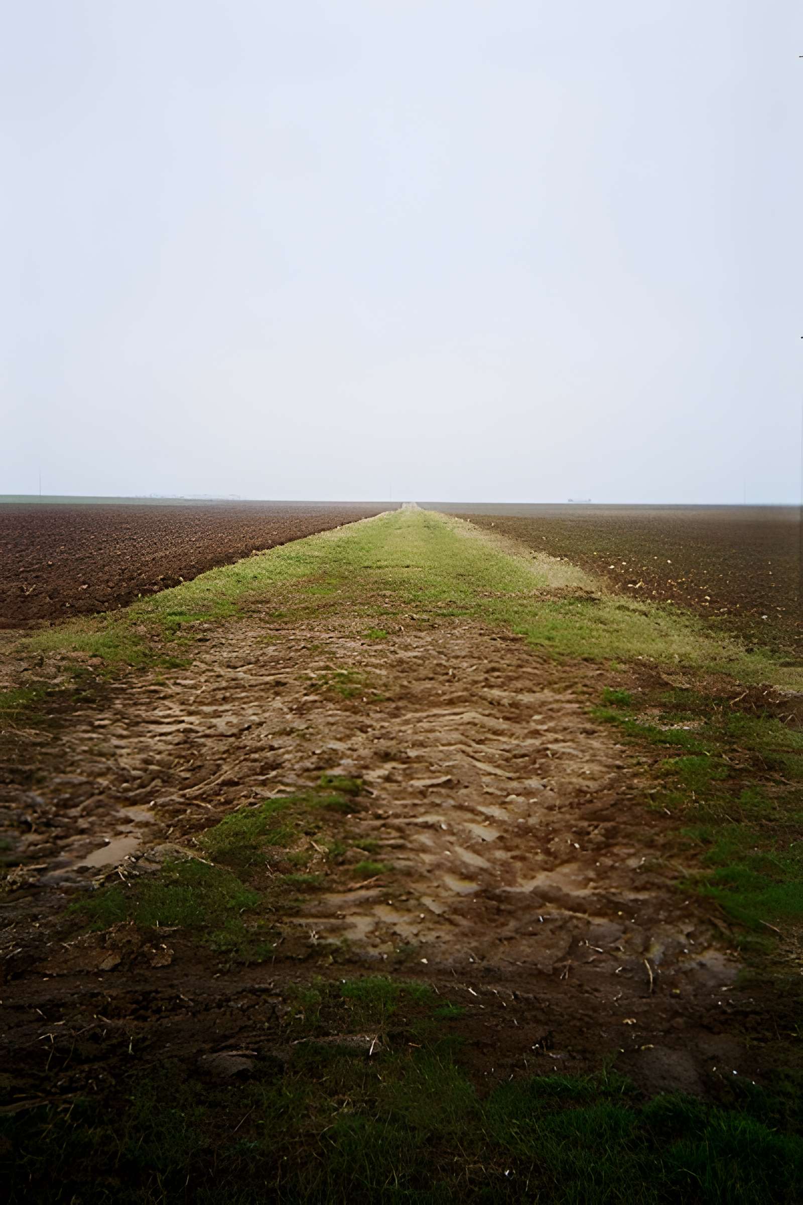 Voie gallo-romaine dite voie de Jules César ou chemin de Chartres (également sur communes de Sémerville, Membrolles et La Colombe)