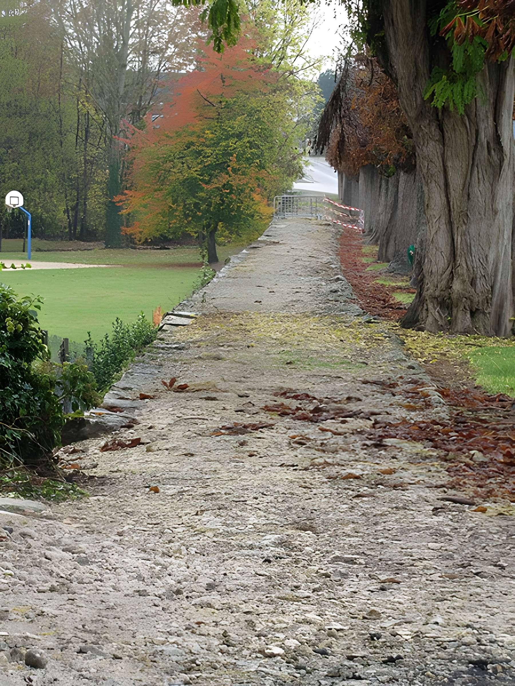 Voie gallo-romaine dite voie de Jules César ou chemin de Chartres (également sur communes de Sémerville, Membrolles et La Colombe)