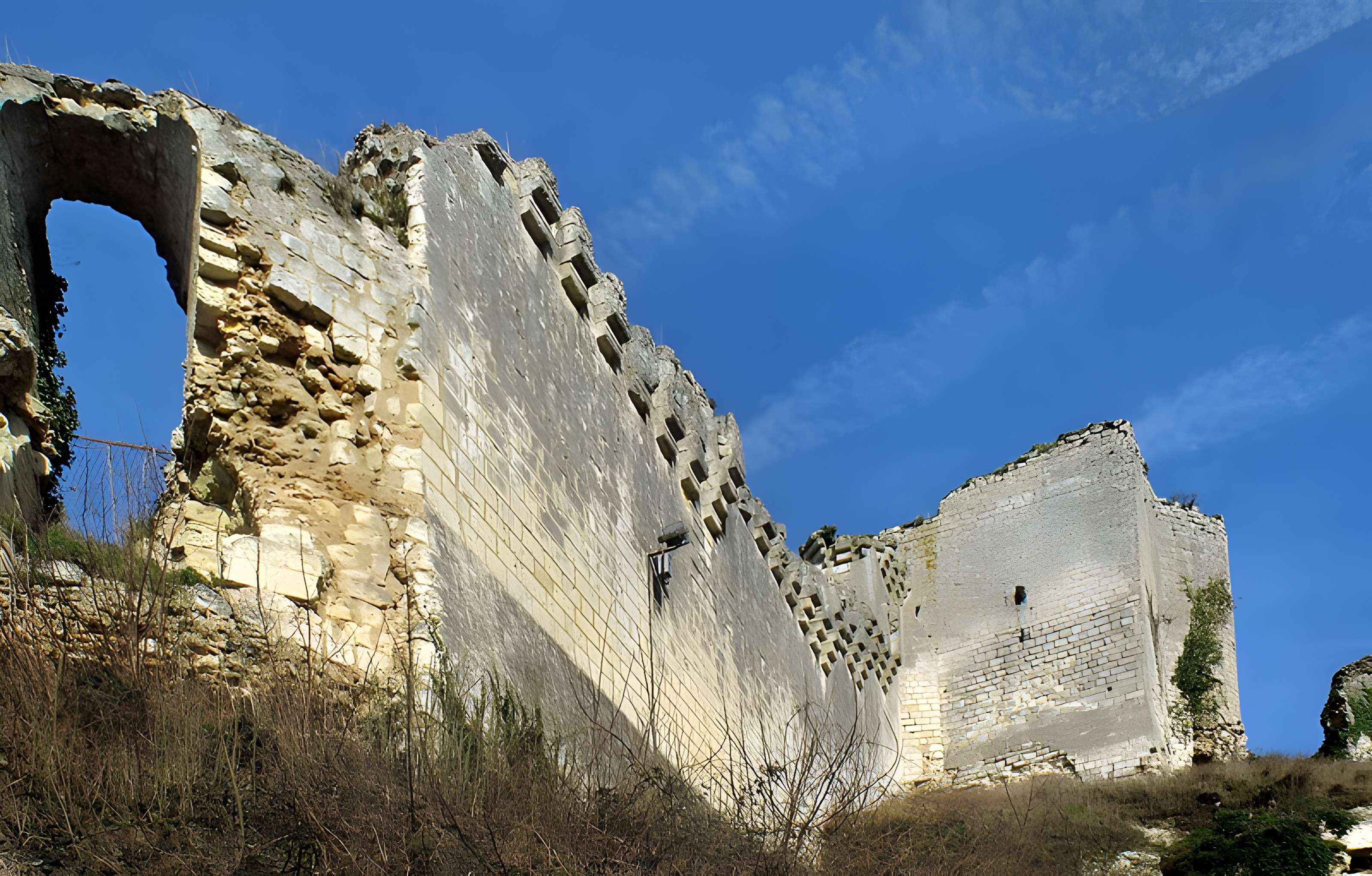 Ruines du château