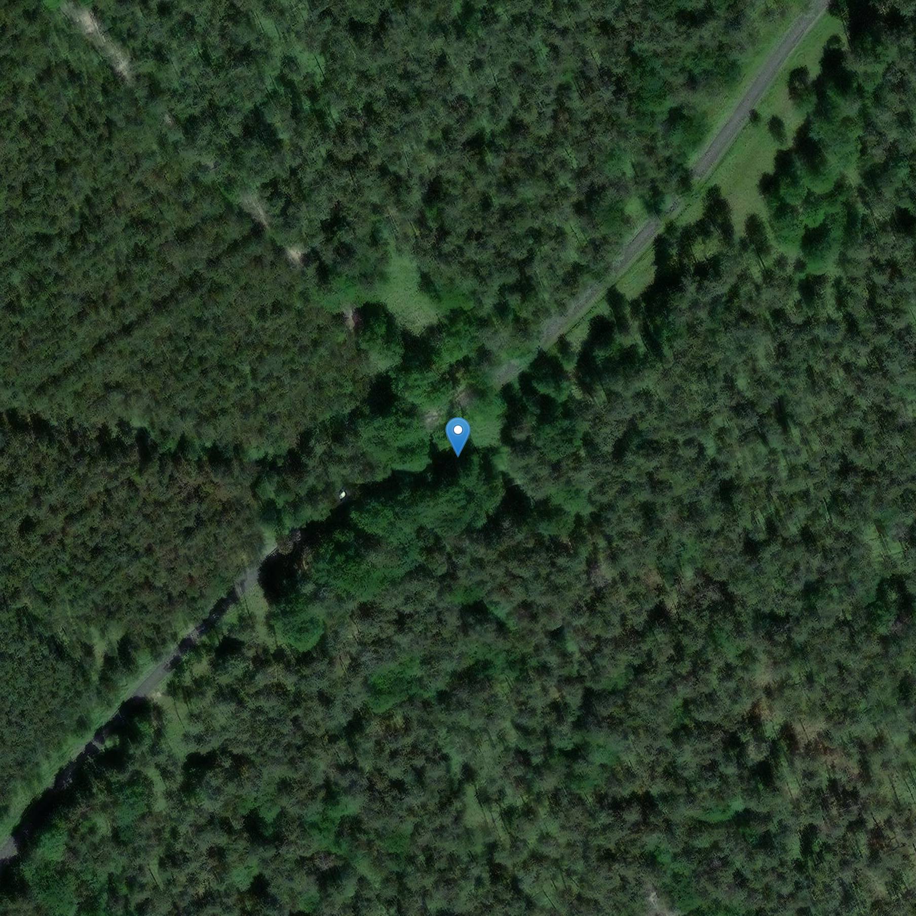 Photo de Menhir sagt La Pierre-Frite de Grandmont