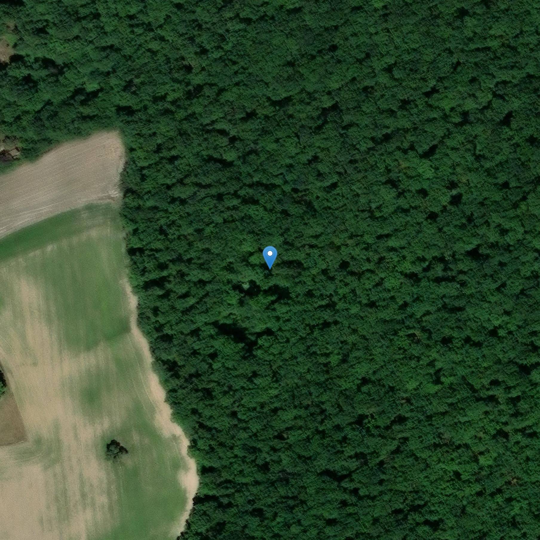 Photo de 14-18 War Training Trench Network (sitio de Sablonnières)