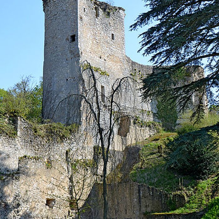 Photo de Ruines du château