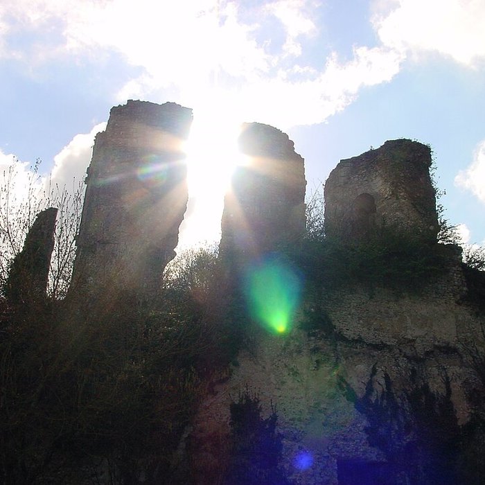 Photo de Ruines du château