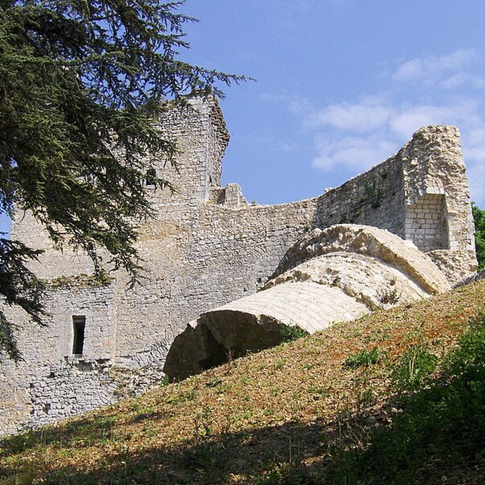 Photo de Ruines du château