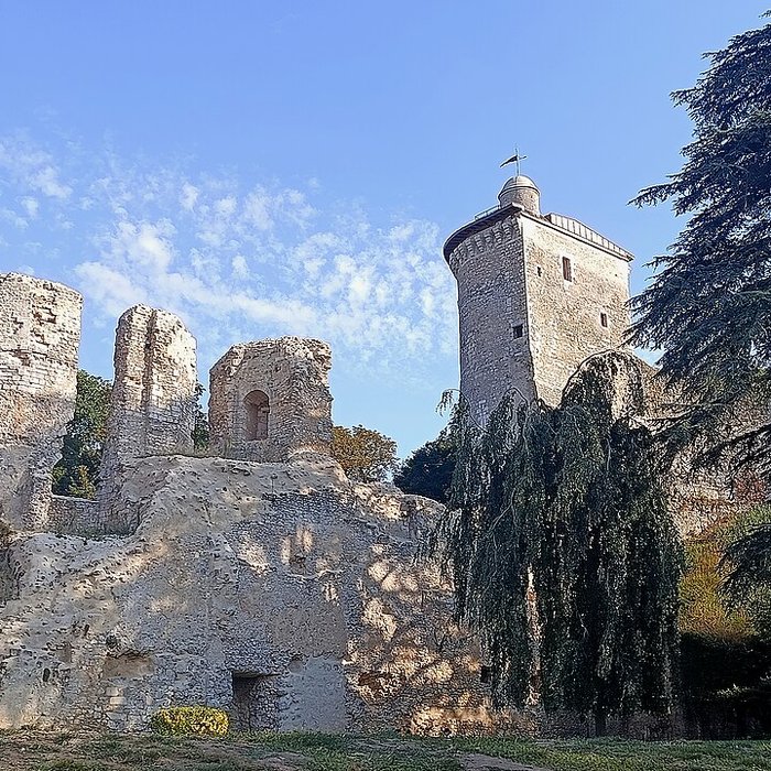 Photo de Ruines du château