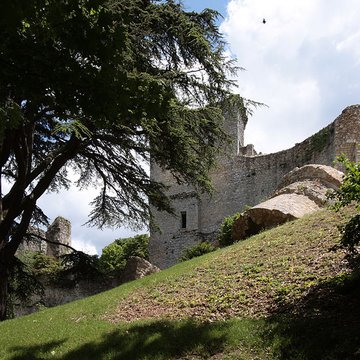 Ruines du château