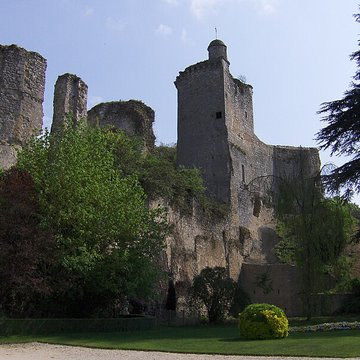 Ruines du château
