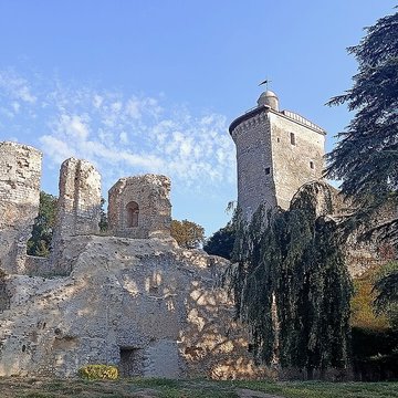 Ruines du château