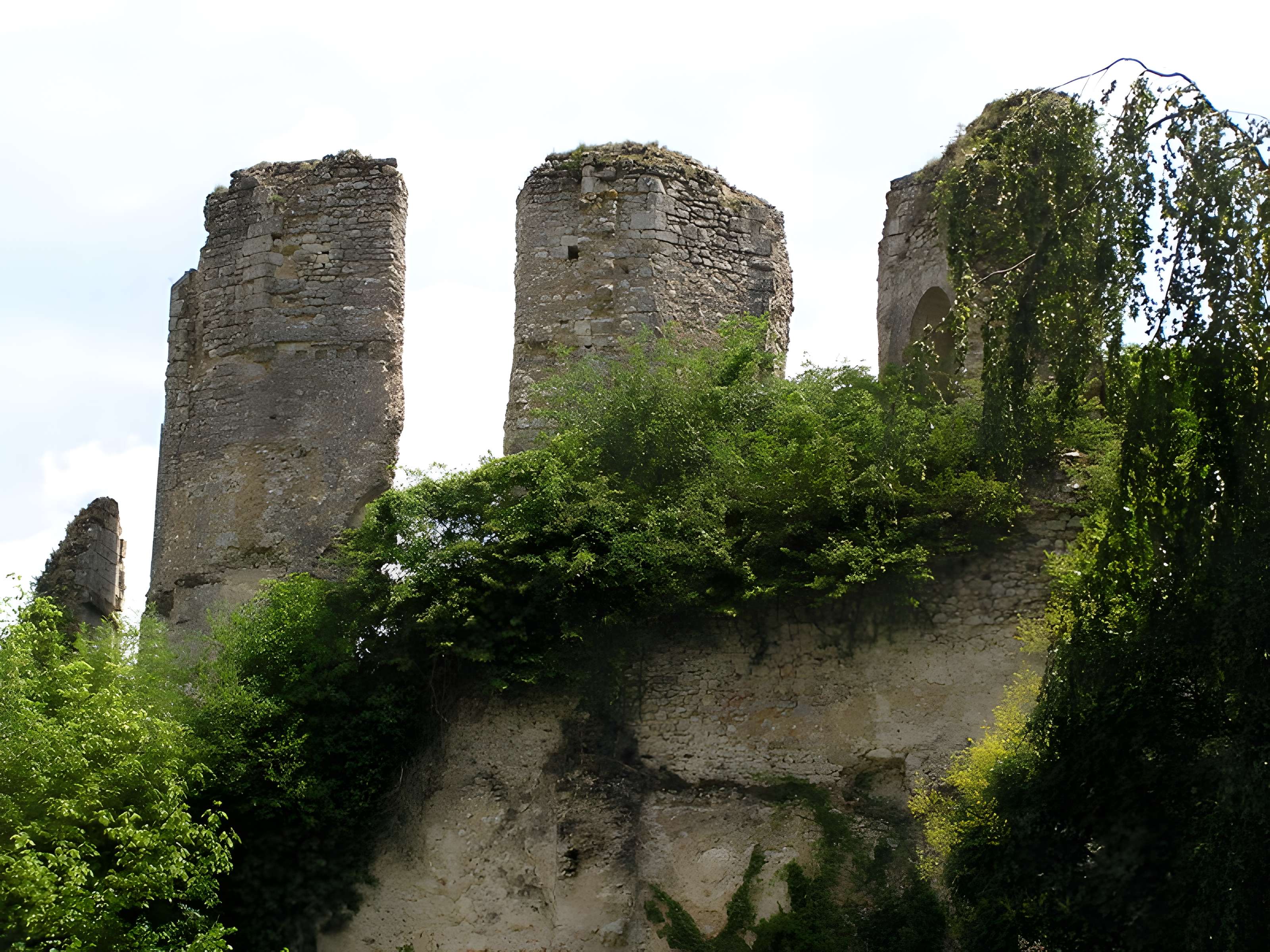 Ruines du château
