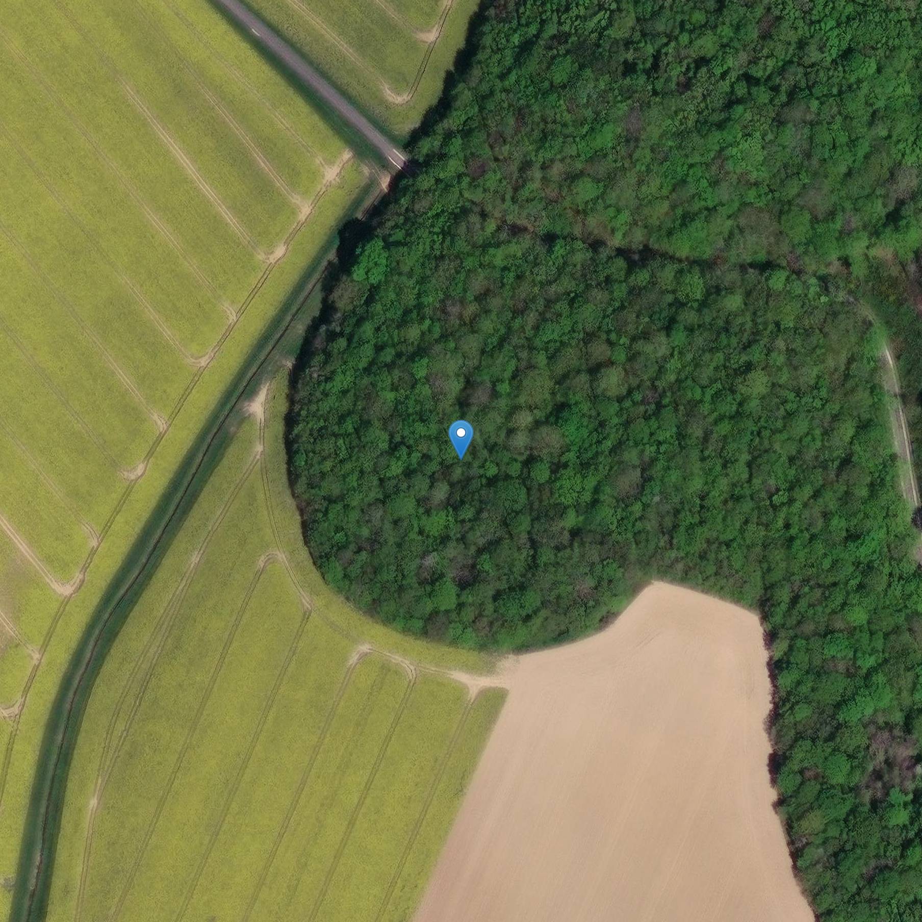 Photo de プロトヒストリカルアースエンクロージャ